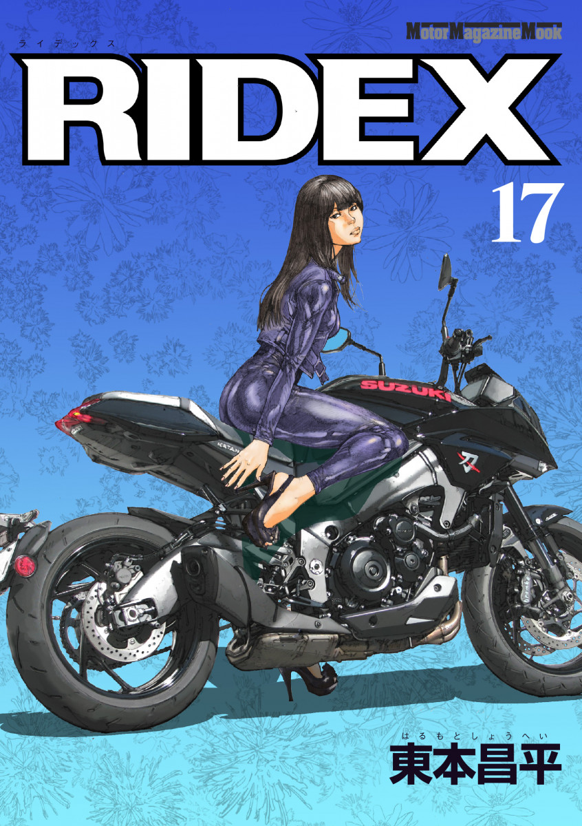 RIDEX 1-19 セット